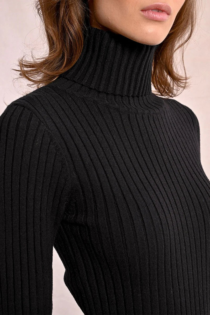 F419CN Ribbed Knit Turtleneck