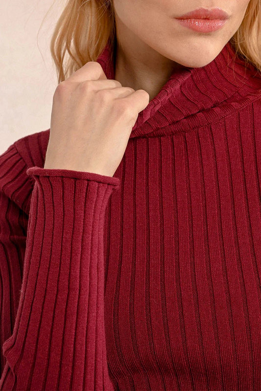 F419CN Ribbed Knit Turtleneck