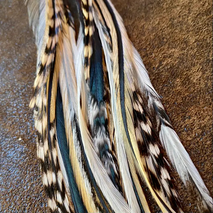 E1162Q Long Feather Golden Blk Grizzly