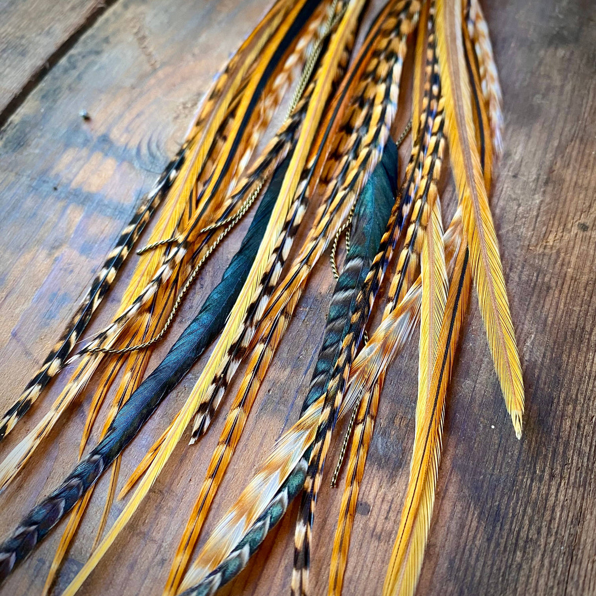 Turquoise & Long Feather Earrings - Cree Mix, Boho Western