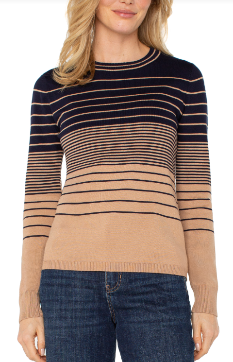 long slv crew neck sweater  nv w/tn vgt str