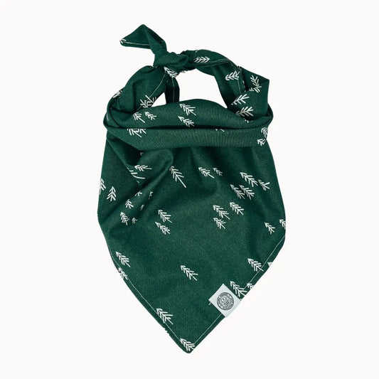 Auggie Dog Bandana