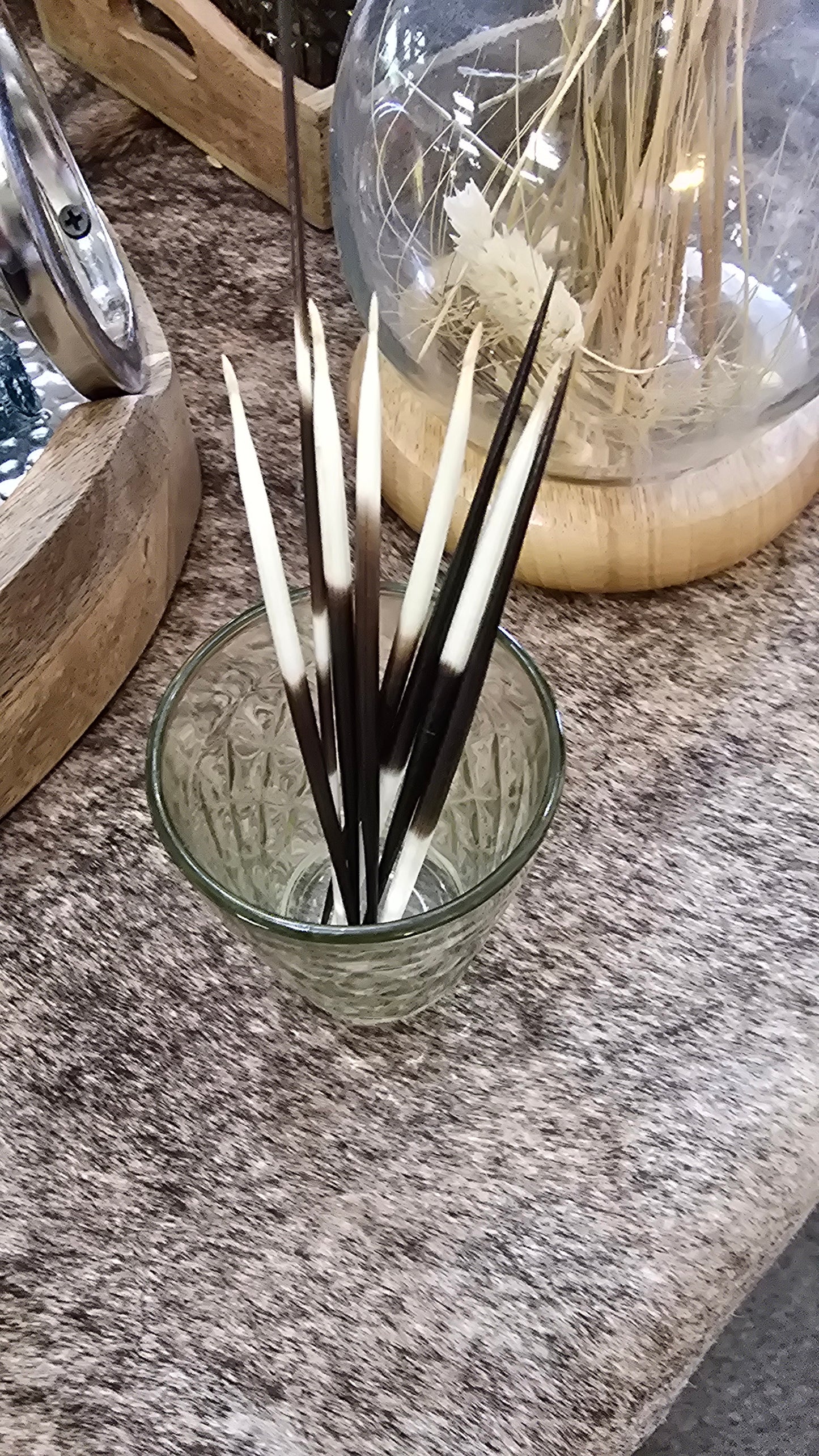 Porcupine Quill
