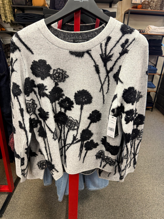 long slv crew neck sweater